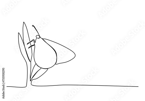 Butterfly on the flower, one line drawing vector illustration.