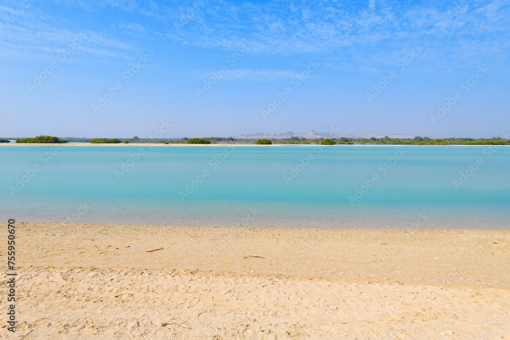 The turquoise blue waters separate the sandy beach from the Mangrove trees with the hills behind at Sir Bani Yas Island, Abu Dhabi, a tourist resort and wildlife sanctuary in the United Arab Emirates.