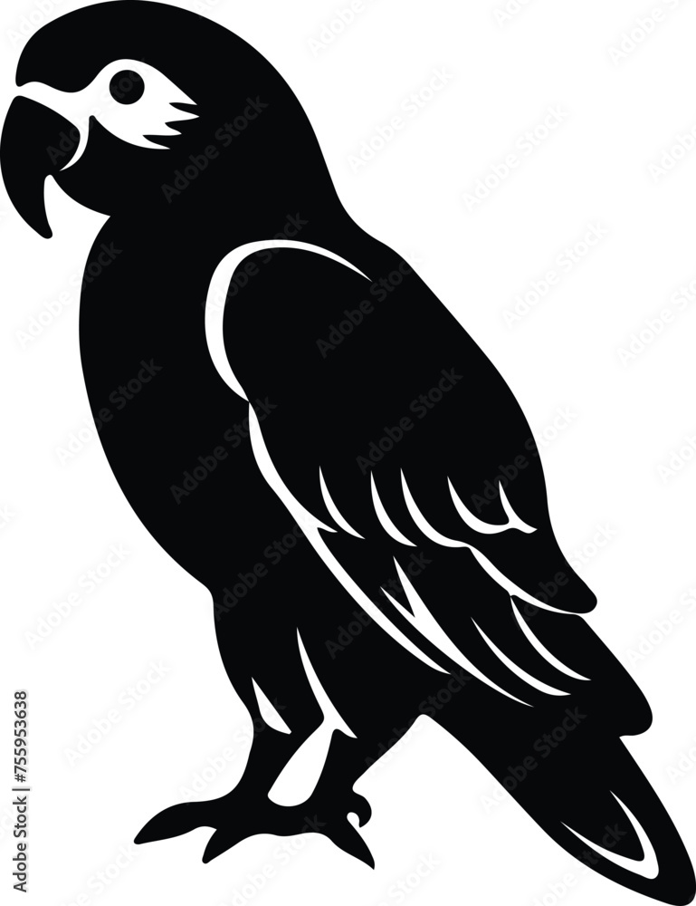 Fototapeta premium Africangrayparrot silhouette