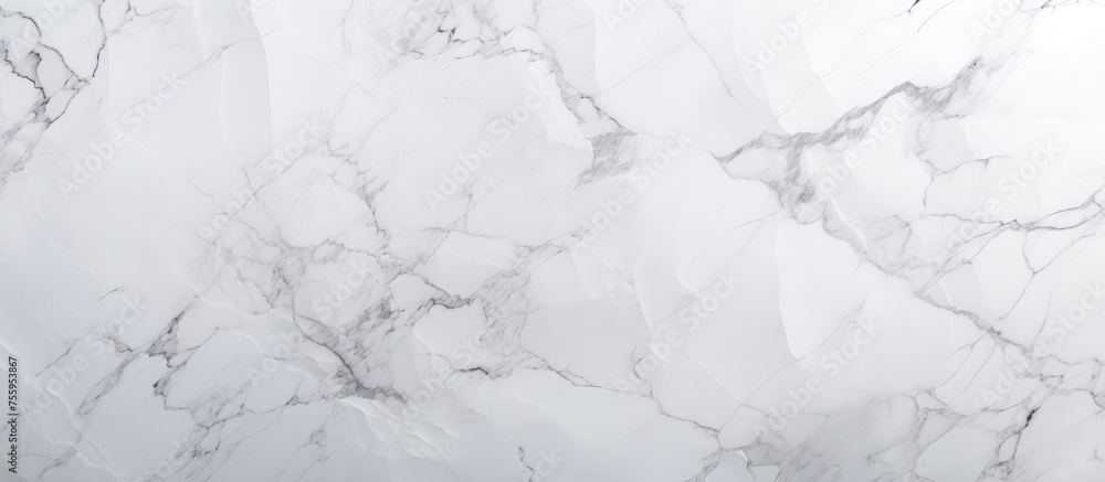 Obraz premium White marble backdrop with textured surface imperfections.