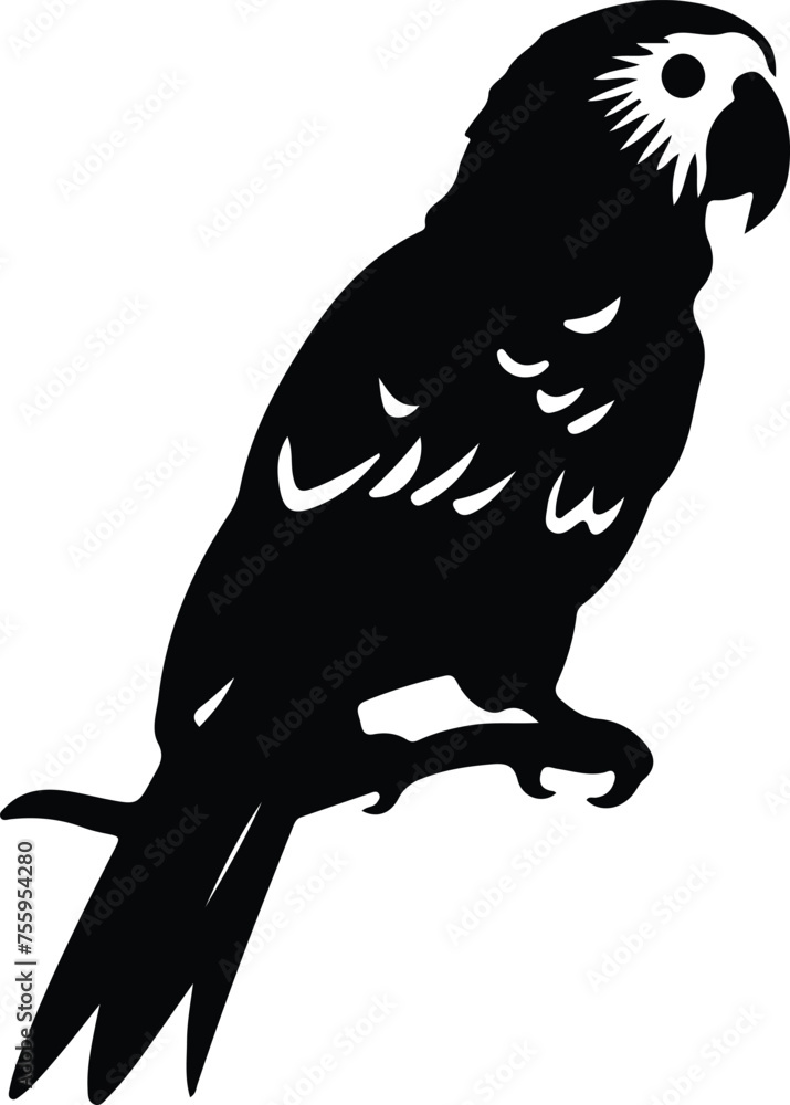 Fototapeta premium Africangrayparrot silhouette