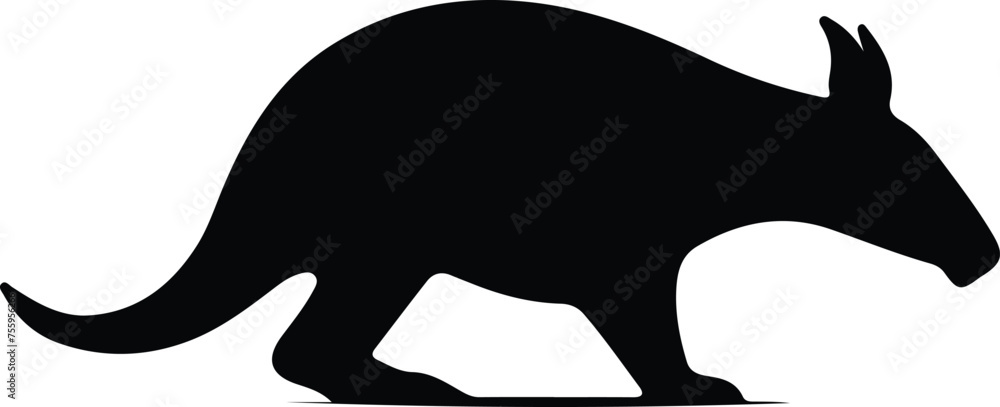 Obraz premium aardvark silhouette