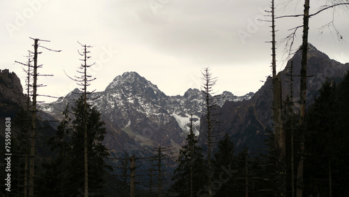 Morskie Oko, or Eye of the Sea, is the largest and fourth deepest lake in the Tatra Mountains in southern Poland. It is located deep in the Tatra National Park, in the Rybi Potok Valley photo