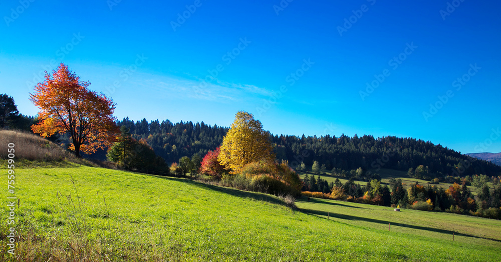 Beautiful landscape of early autumn with a clear cloudless sky, long shadows in Poland