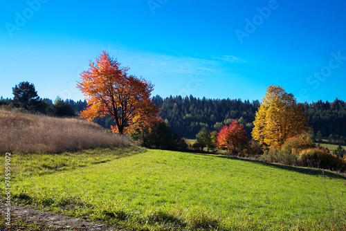 Beautiful landscape of early autumn with a clear cloudless sky, long shadows in Poland, Labowa