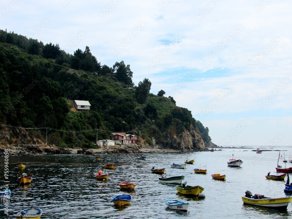 Obraz premium Caleta Tumbes, Talcahuano, Chile.