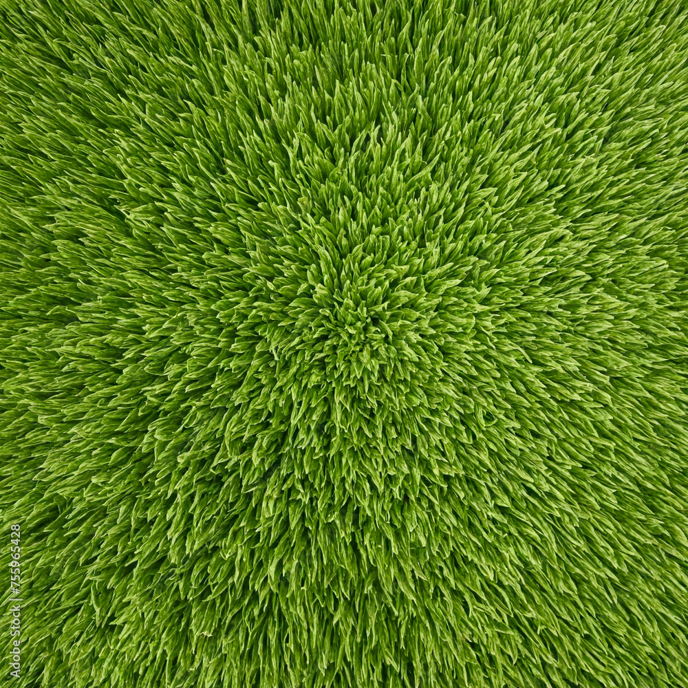 Natural landscape, green grass lawn background. Natural landscape, green grass lawn background.