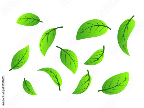 Green tea leaves flying in the air