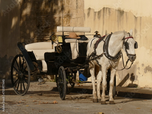 Córdoba, Kutsche und Pferd