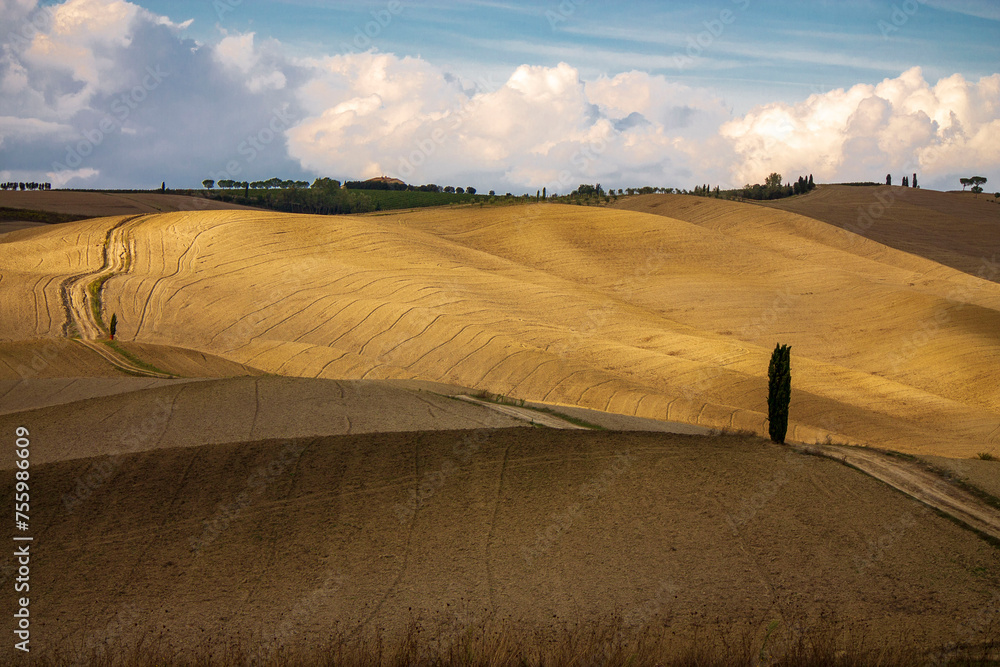 Fototapeta premium rural landscape of Tuscany in autumn