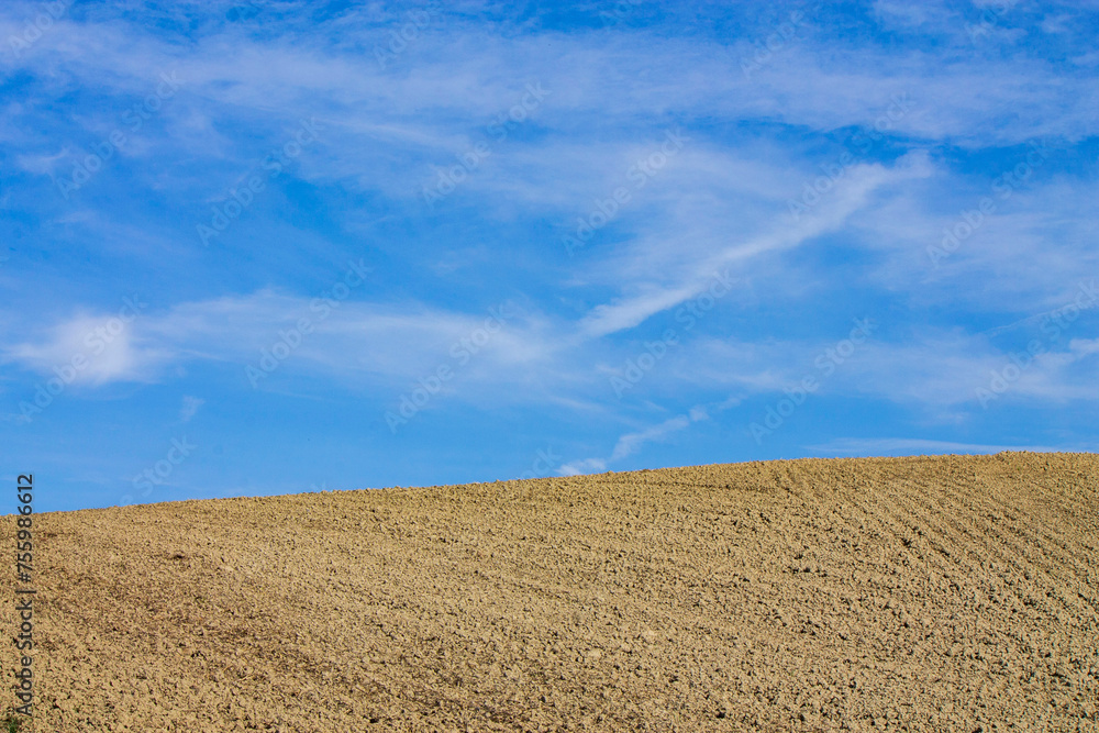 Fototapeta premium rural landscape of Tuscany in autumn