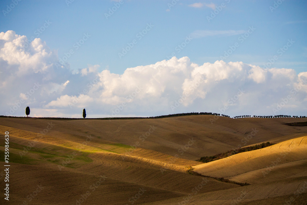 Obraz premium rural landscape of Tuscany in autumn