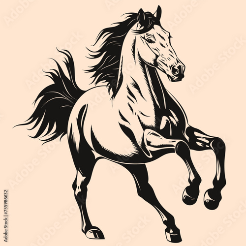 Black and White Horse Outline Silhouette Ornament Vector Art for Logo and Icon  Sketch  Tattoo  Clip Art