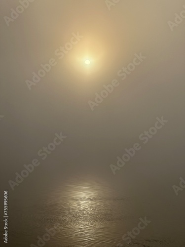 Sun permeates through the thick fog over the river Minho near Eiras, O Rosal, Galicia, Spain, December 2022 photo