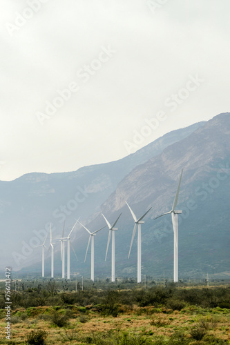 A group of windmills in a field, Monterrey Mexico