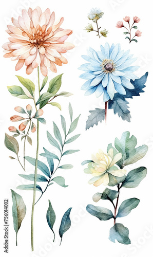 Watercolor illustrations of assorted flowers and foliage