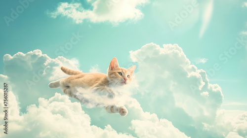 Gato fofo caminhando sobre as nuvens no ceu - Papel de parede