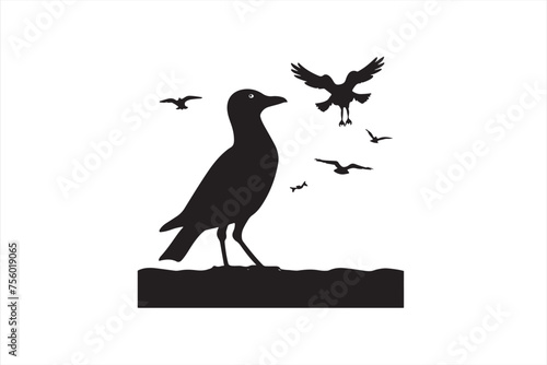 silhouette of a bird