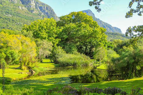 Pool within the Kirstenbosch National Botanical Garden, an important botanical garden nestled at the foot of Table Mountain in Cape Town, South Africa, in summer season. Sunny day.