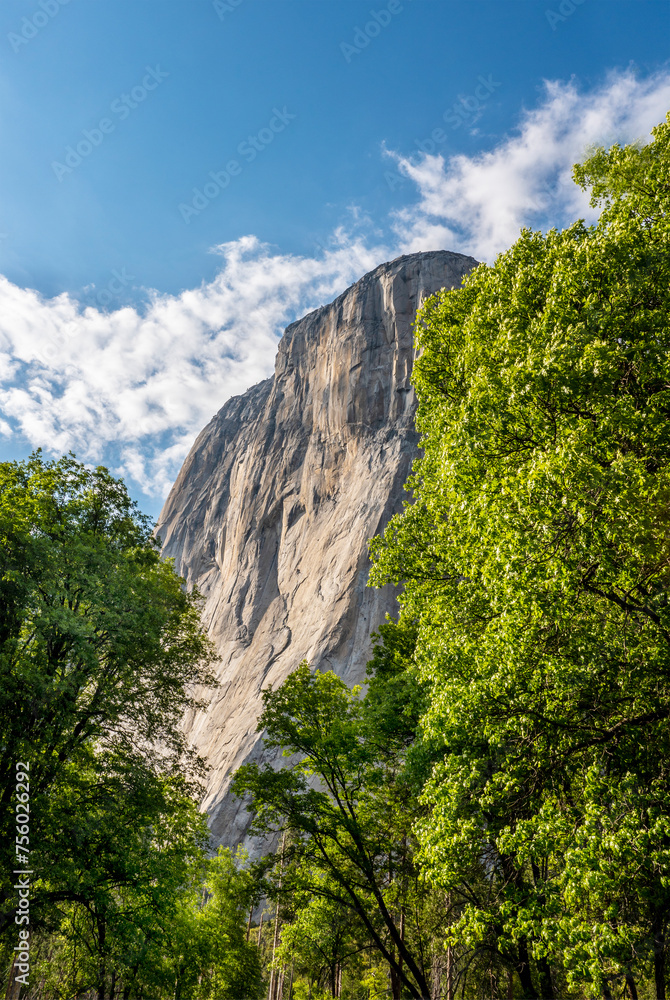 Yosemite National Park, California. View of Yosemite Park - El Capitan