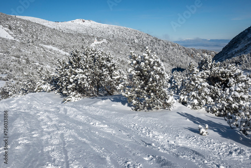 Winter Landscape of Rila mountain near Musala peak, Bulgaria photo