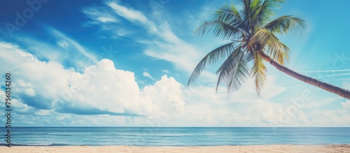 A majestic palm tree stands on the sandy beach against the backdrop of the crystalclear ocean under a sky filled with fluffy clouds. This natural landscape is perfect for travel enthusiasts