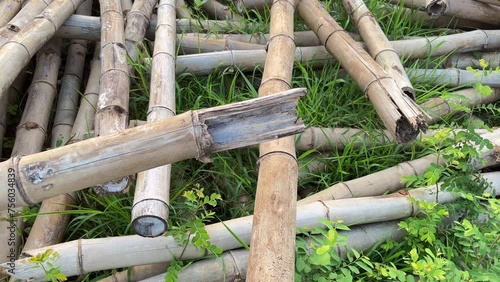 Closeup of bamboo poles. Bamboo poles on the grass.