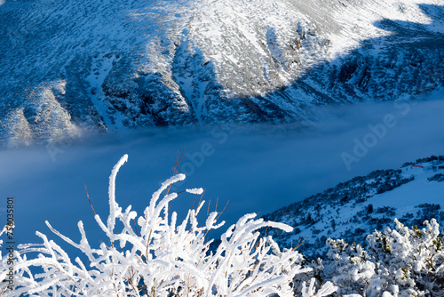 Winter Landscape of Rila mountain near Musala peak, Bulgaria photo