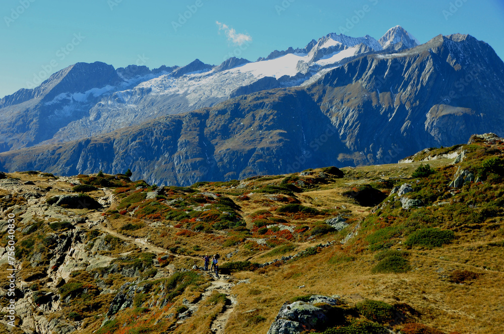 Swiss alps panoramic view to the Nesthorn, Breithorn und Bietschhorn from Riederalp/Moosfluh | Alpenpanorama mit Nesthorn, Breithorn und Bietschhorn von der Mossflu/riederalp aus