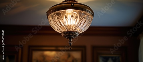 Antique Ceiling Light in Classic Home