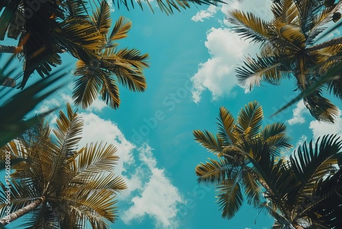 Tropical paradise view from below Featuring a vivid blue sky framed by palm trees Evoking a sense of escape and adventure © Bijac
