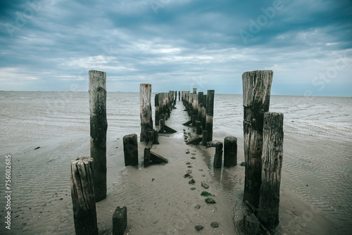 sea photo wallpaper. Old destroyed wooden pier in the sea on a cloudy day. Wadden Sea Coast and wooden pillars .Low tide time.