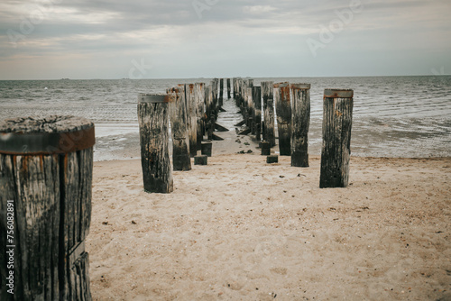 Wadden Sea Coast and wooden pillars in the sea. Old wooden pier on a cloudy day.sea photo wallpaper. Low tide time.