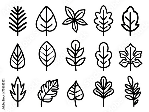 leaves beautiful, black thin line, white background