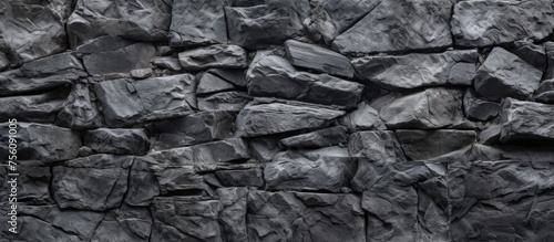 A monochrome close up of a grey bedrock wall with a unique wood pattern. The landscape features grass and a stone outcrop in the background