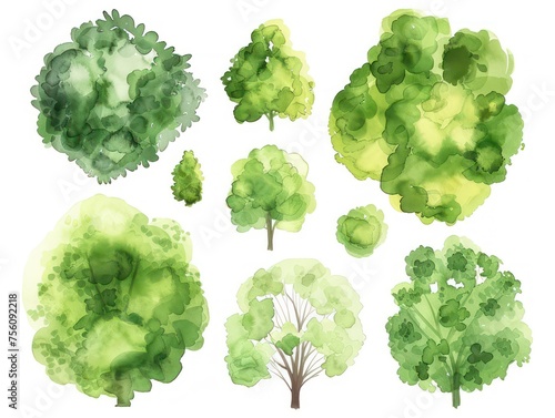 watercolor top view plan set of trees, green color palette, isolated on white background
