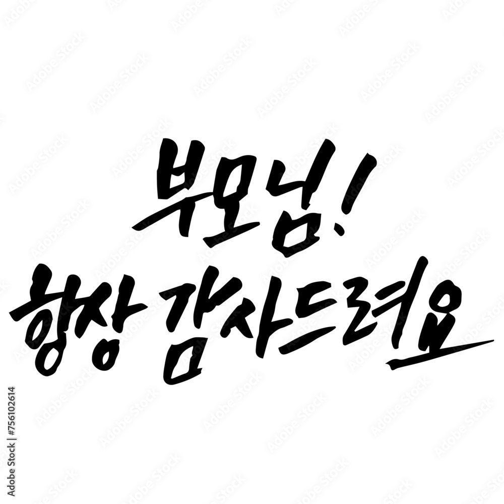 캘리그라피 부모님 항상 감사드려요 손글씨 글씨 감성글귀 타이포 