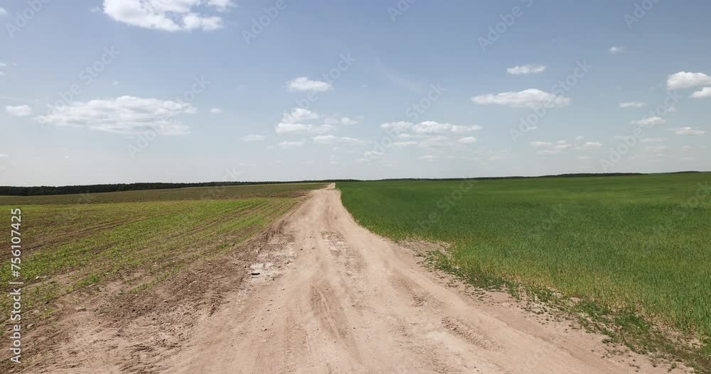 country road without asphalt in the field, sandy road in the field in the summer country road without asphalt in the field, sandy road in the field in the summer
