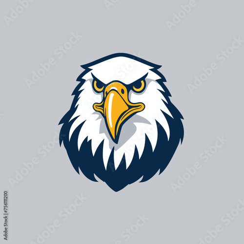 A bald eagle head logo