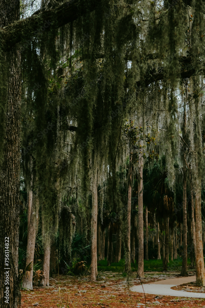 FLORIDA PRESERVES FLORIDA PRESERVES
