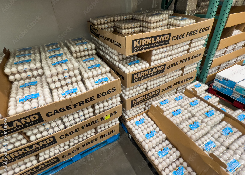 Kirkland Signature brand AA Cage Free Eggs for sale at a US Local Costco Warehouse Stock Photo