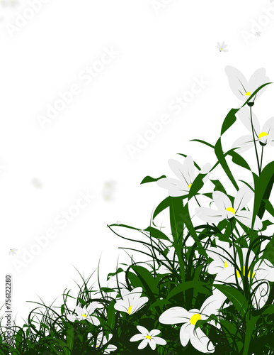 Grass daisies field frame, Flower daisy background.
