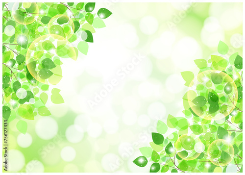 新緑、背景、5月、キラキラ、爽やか、対角、横型