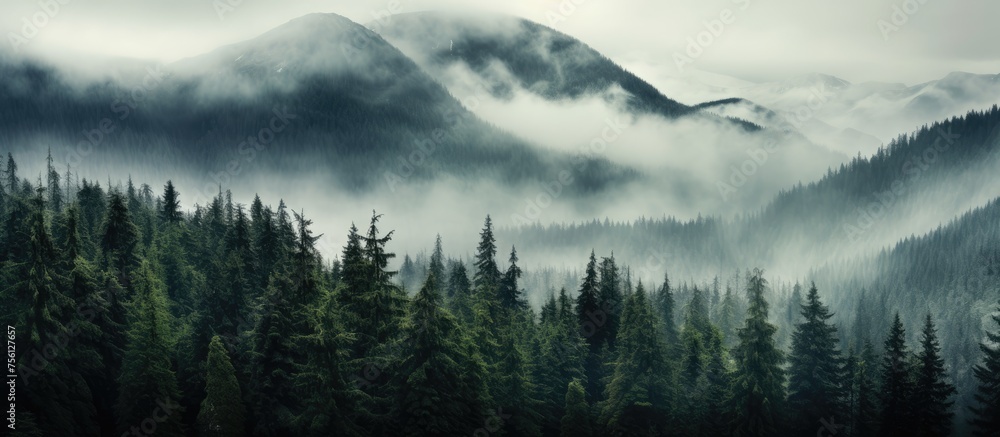 A misty forest lies beneath towering mountains shrouded in clouds, creating a mystical atmosphere. Trees blend into the foggy landscape, merging with the distant horizon