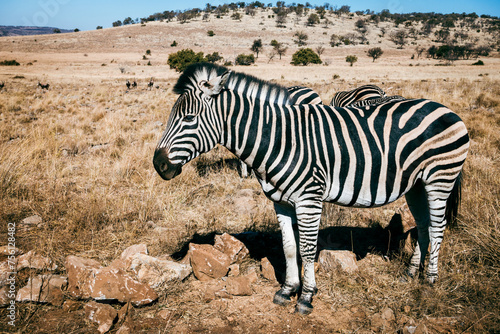 Wildlife preserve in Gauteng