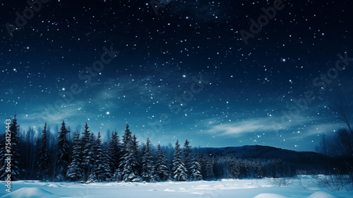 Snow forest and star sky