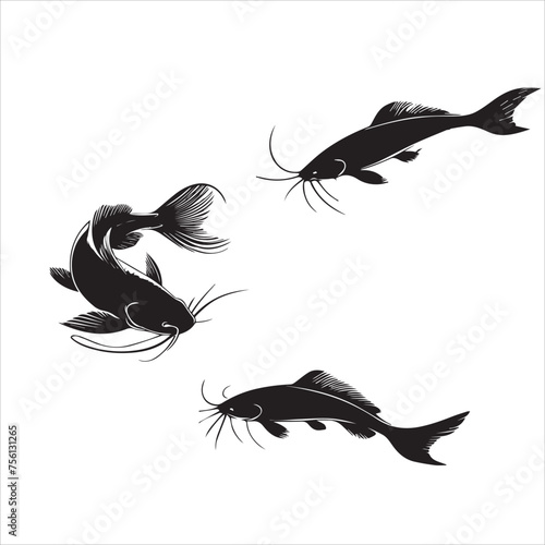 silhouette catfish photo