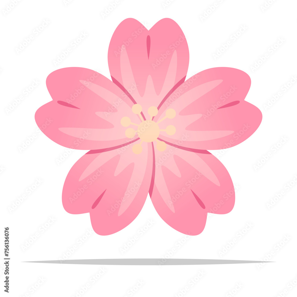 Cherry blossom flower vector isolated illustration Cherry blossom flower vector isolated illustration