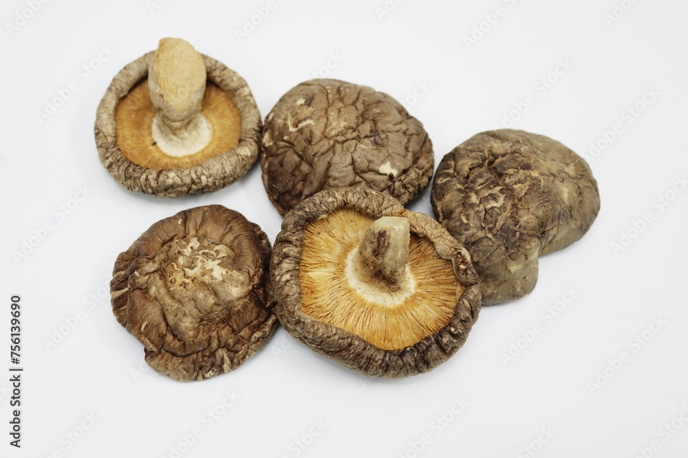 Dried shiitake mushrooms, isolated white background Dried shiitake mushrooms, isolated white background