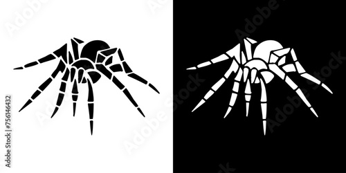 illustration of a spider